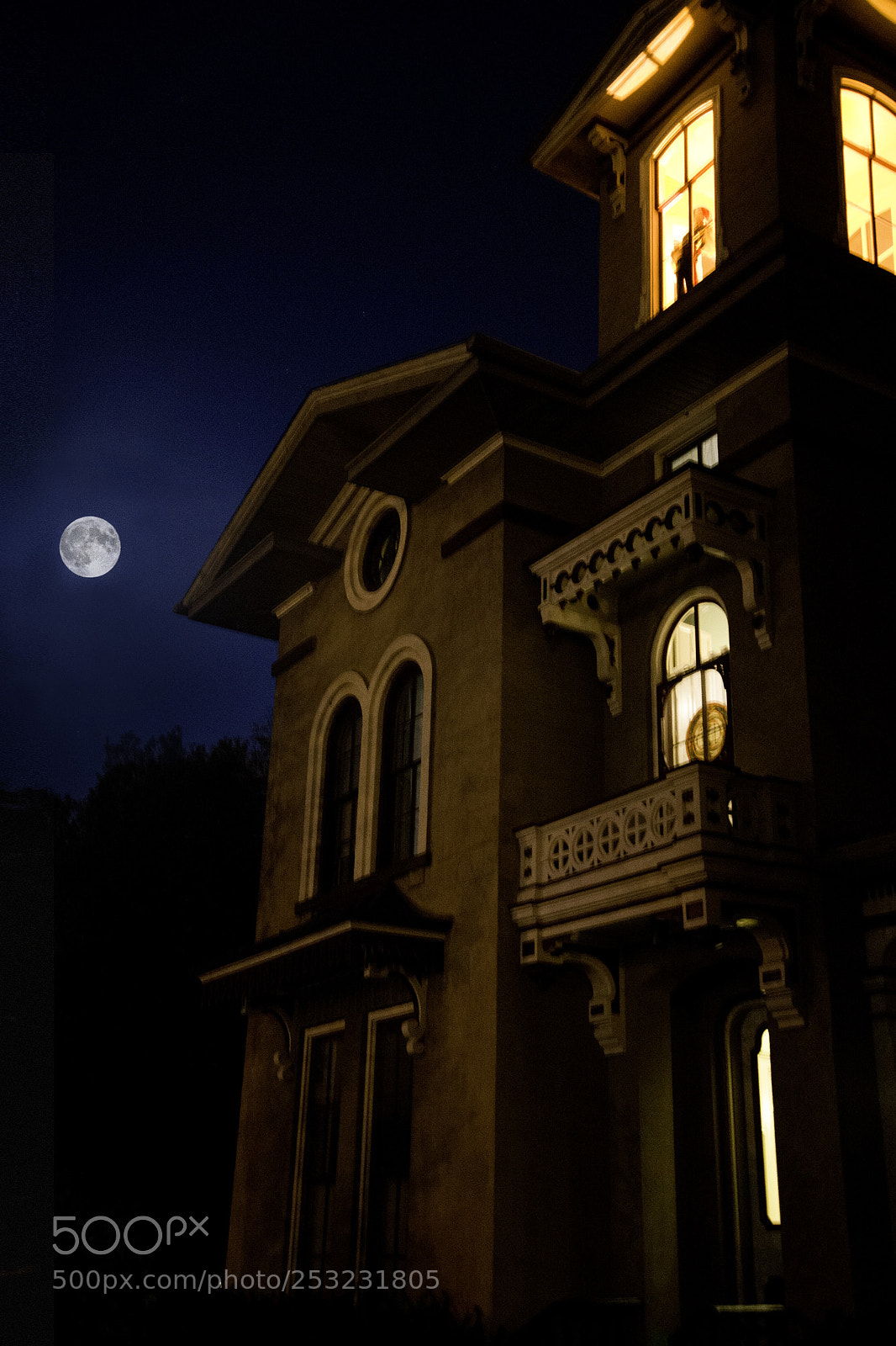 Nikon D600 sample photo. Xmoon in residence photography