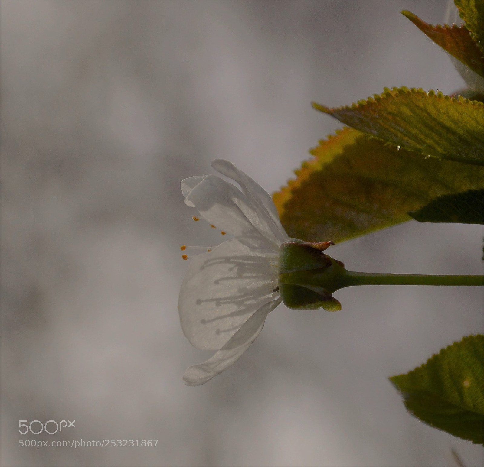 Nikon D3200 sample photo. Untitled photography