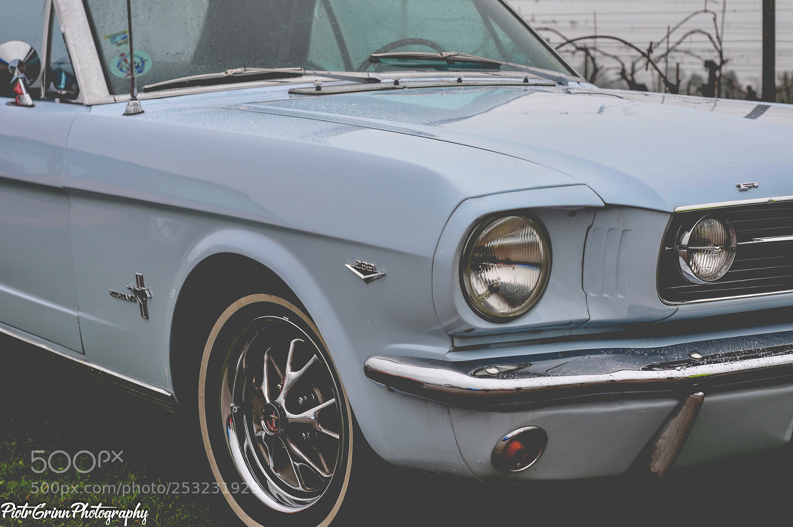 Nikon D300 sample photo. Boss charity car festival photography