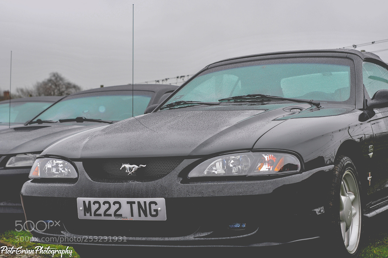 Nikon D300 sample photo. Boss charity car festival photography