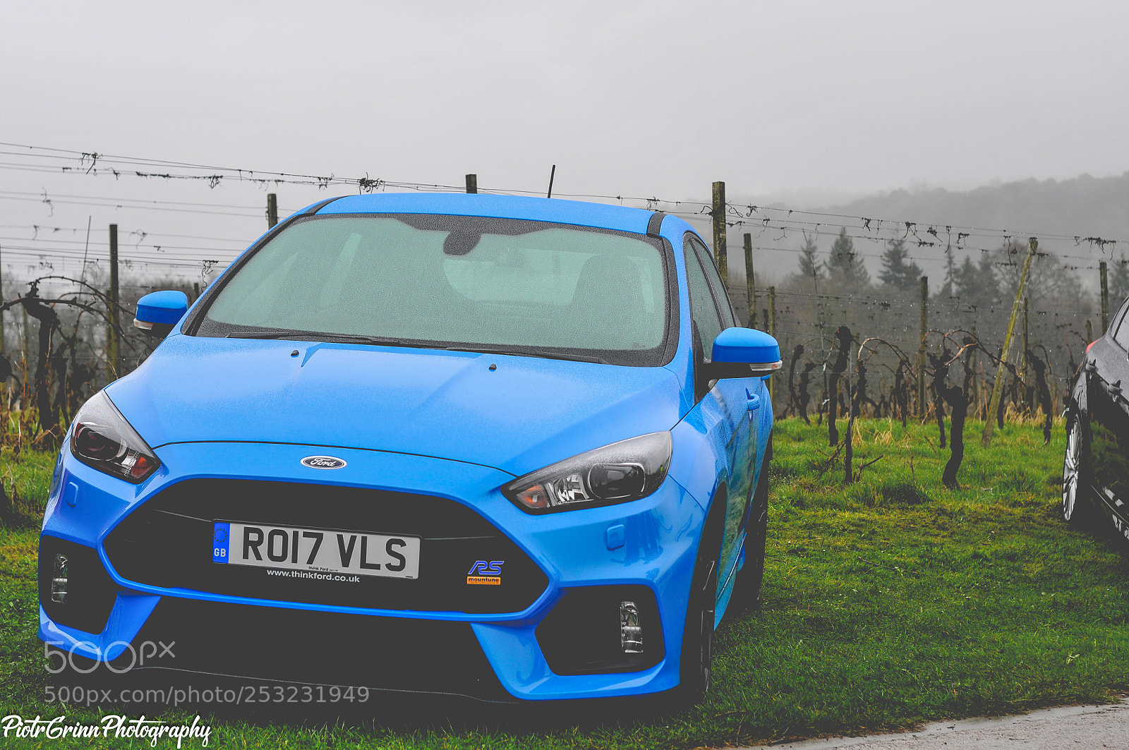 Nikon D300 sample photo. Boss charity car festival photography