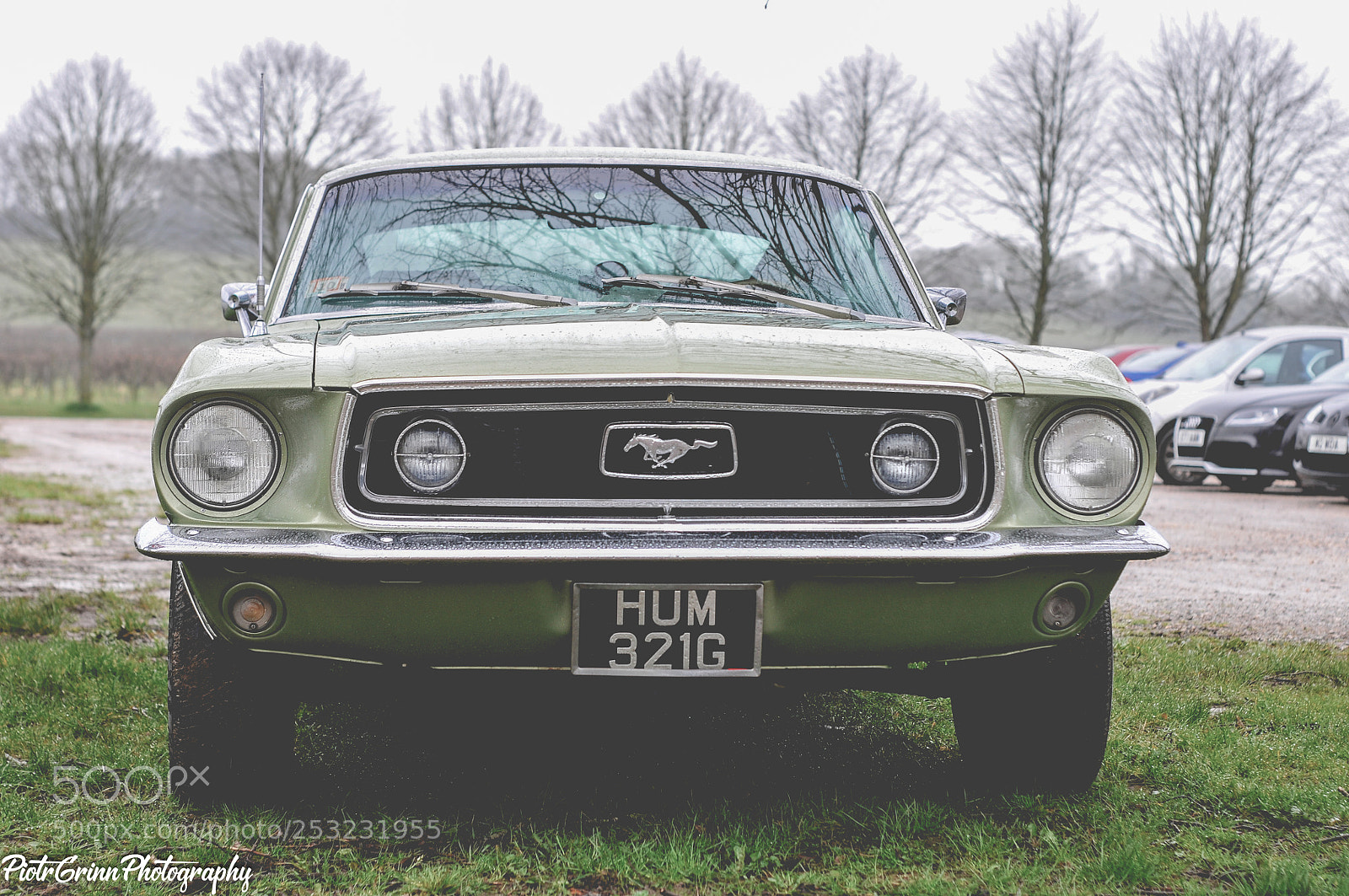 Nikon D300 sample photo. Boss charity car festival photography