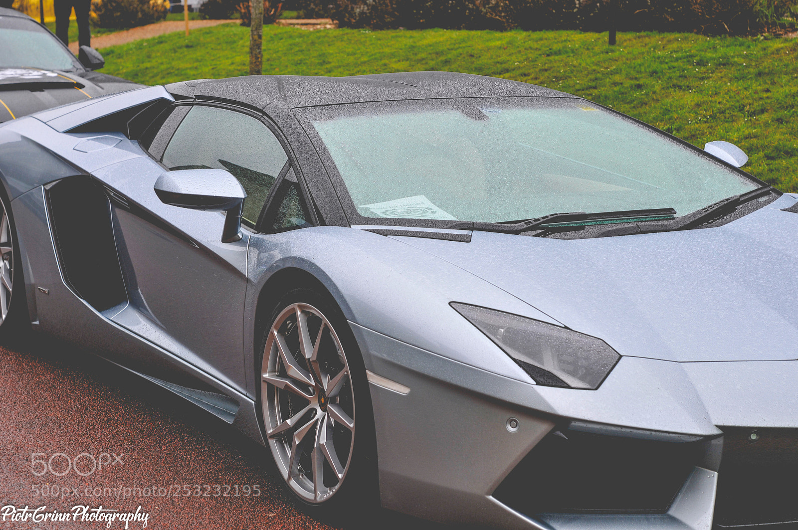 Nikon D300 sample photo. Boss charity car festival photography