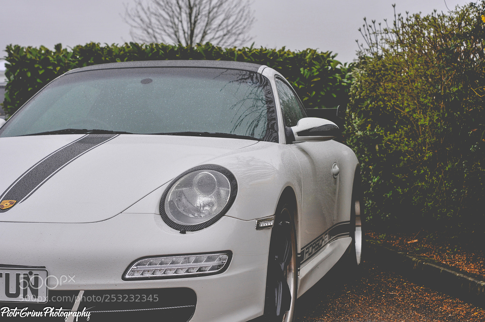 Nikon D300 sample photo. Boss charity car festival photography