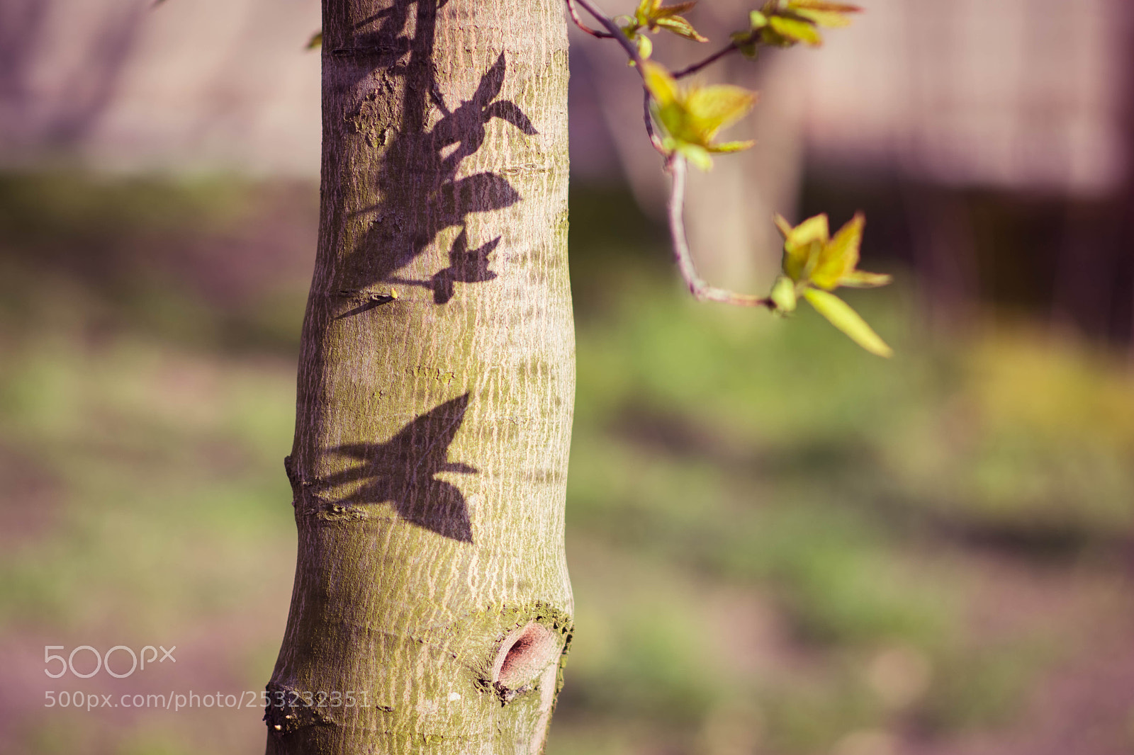 Nikon D7200 sample photo. Butterfly or letter? photography