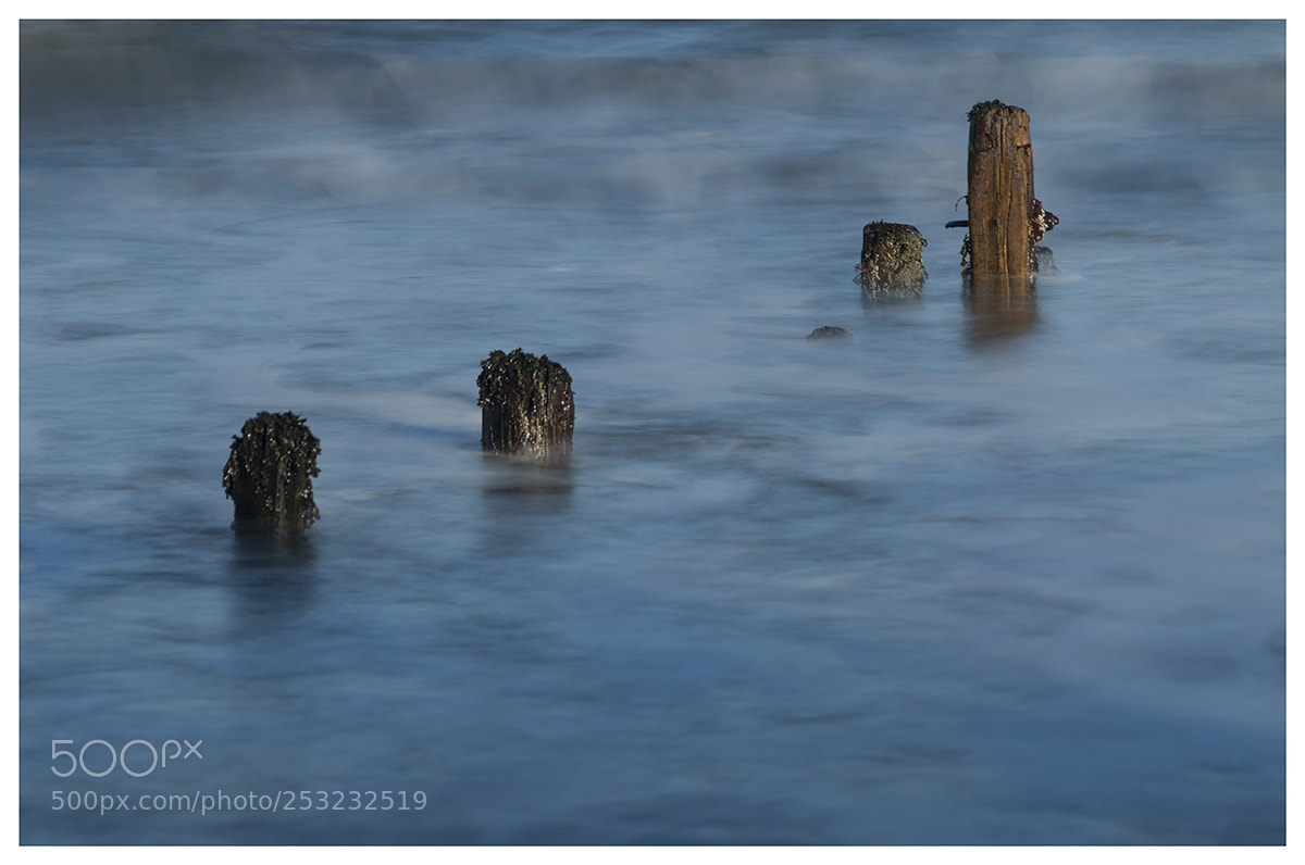 Canon EOS 70D sample photo. Groynes photography