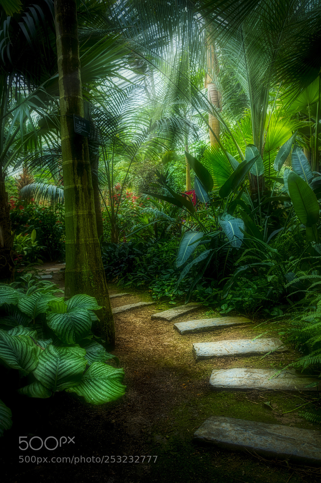 Nikon D7100 sample photo. 0530-pathway photography