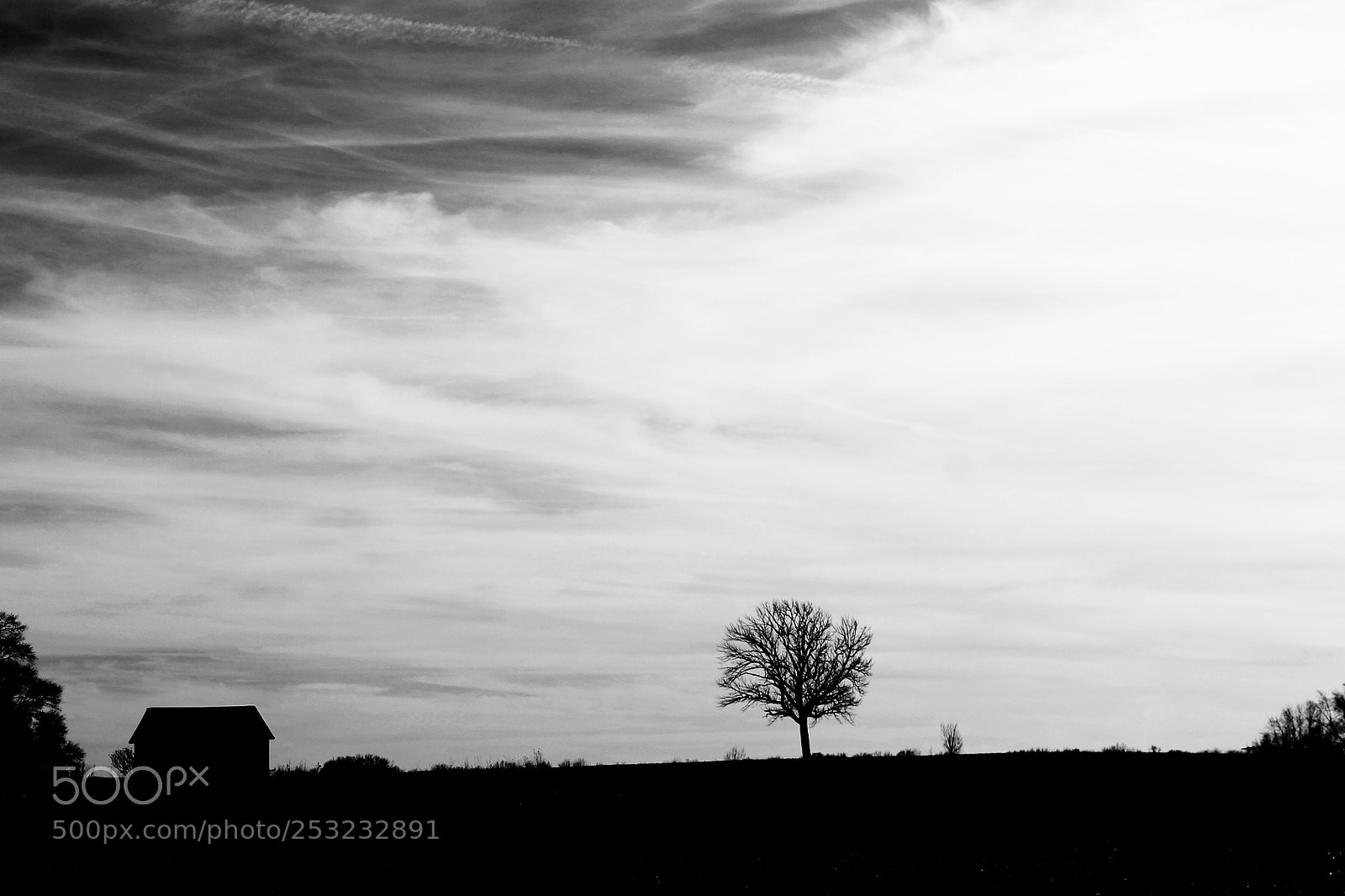 Canon EOS 1100D (EOS Rebel T3 / EOS Kiss X50) sample photo. Lone tree photography