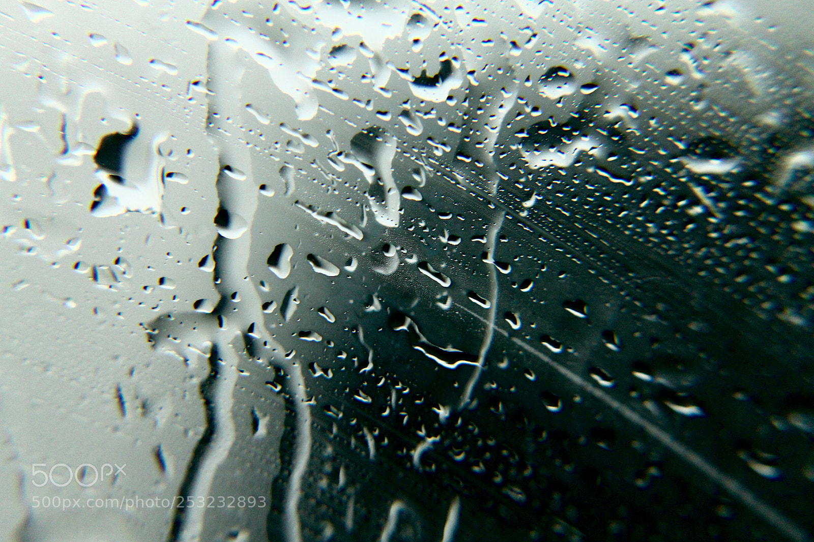 Canon EOS 1100D (EOS Rebel T3 / EOS Kiss X50) sample photo. Raindrops photography
