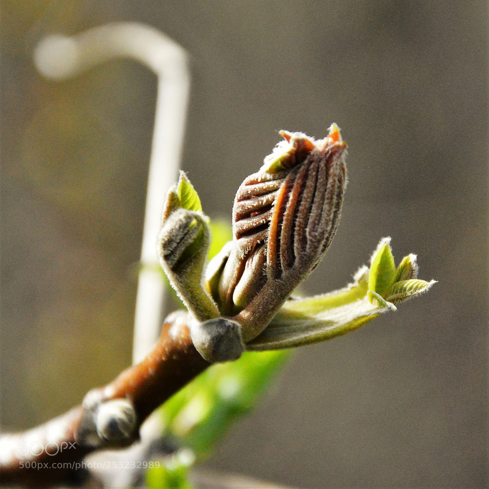 Nikon D3200 sample photo. Untitled photography