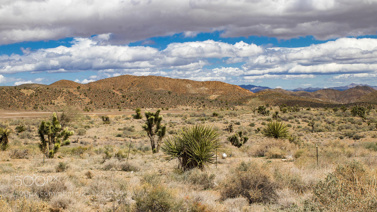 Canon EOS 80D sample photo. Las vegas desert photography