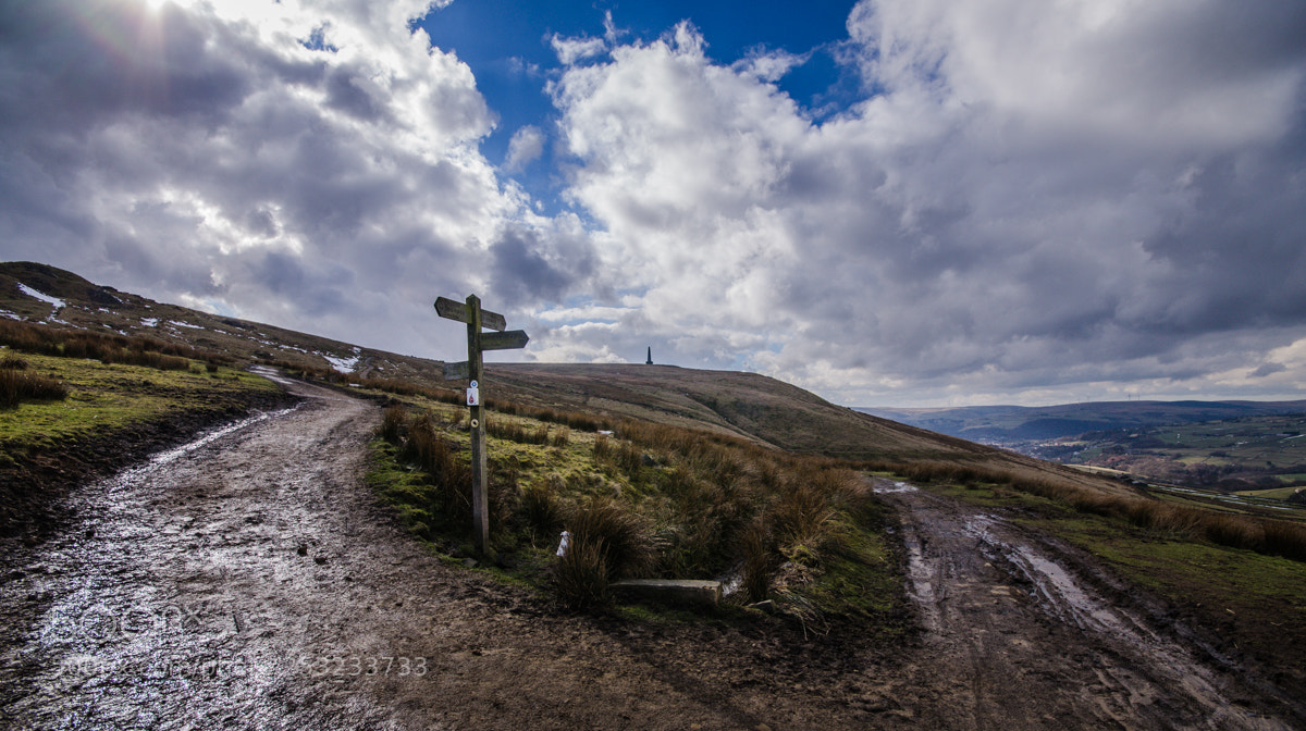 Nikon D7000 sample photo. Fork in the road photography