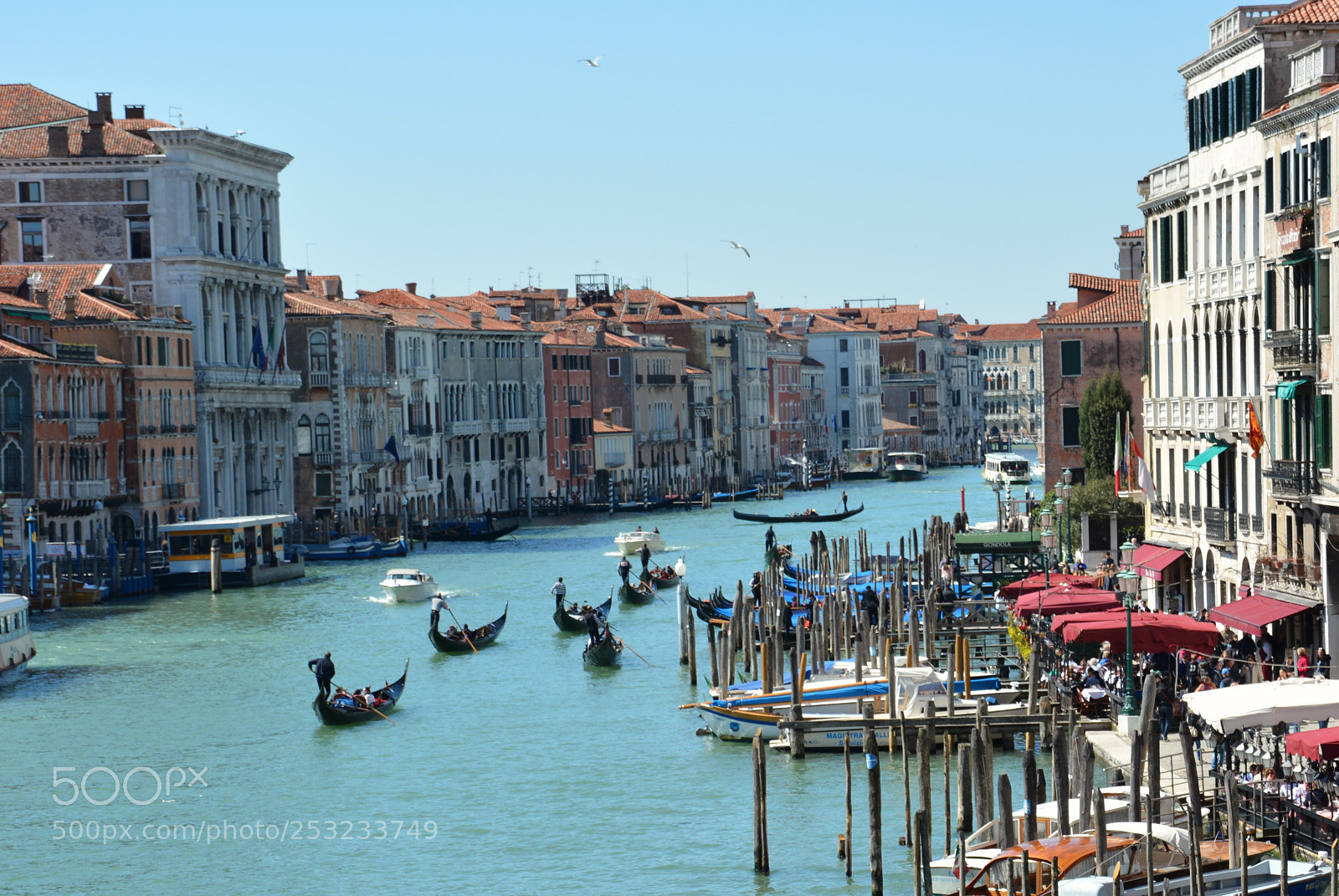 Nikon D7100 sample photo. One sunny day in photography