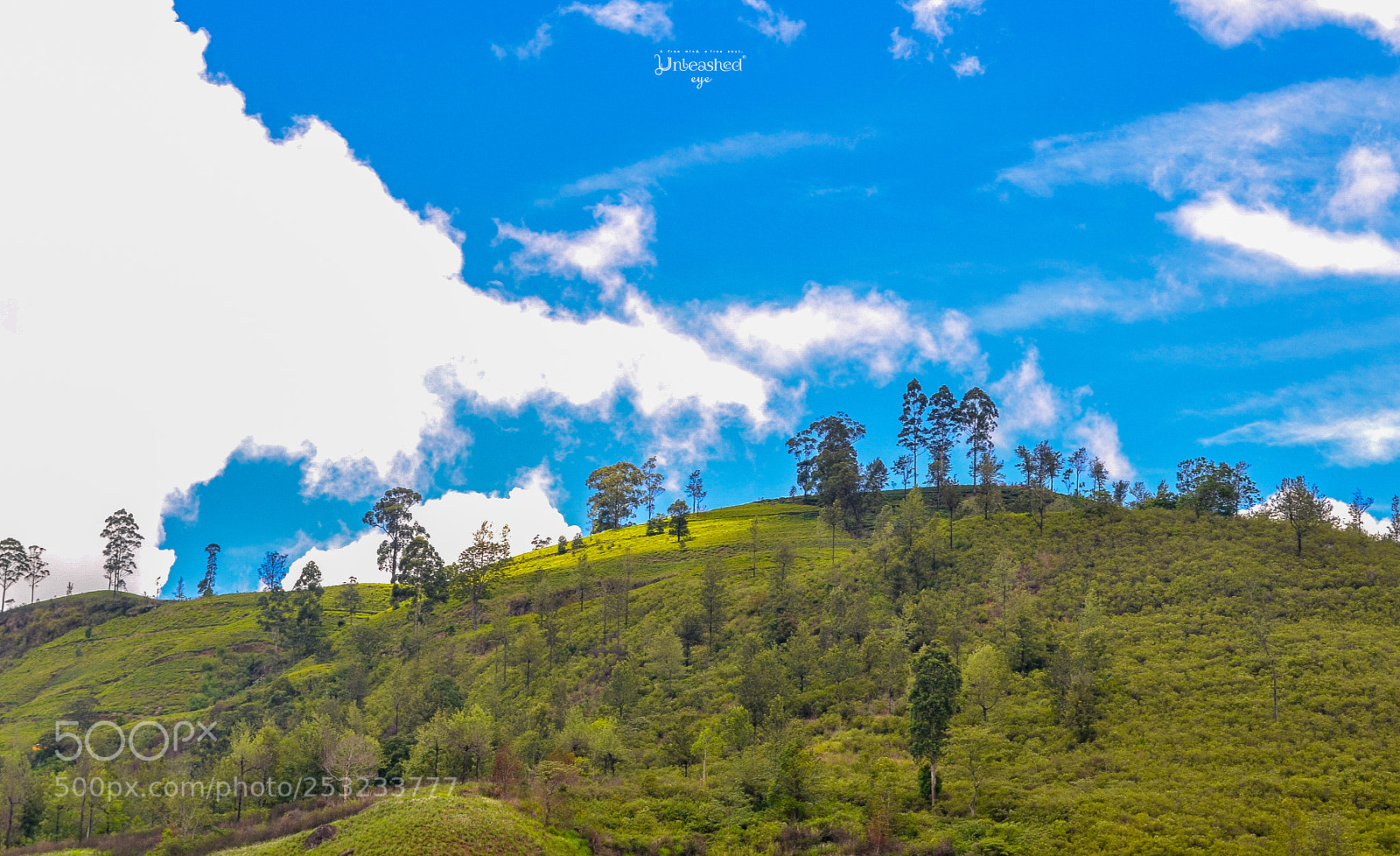 Nikon D3100 sample photo. Blue skies, green mountains photography