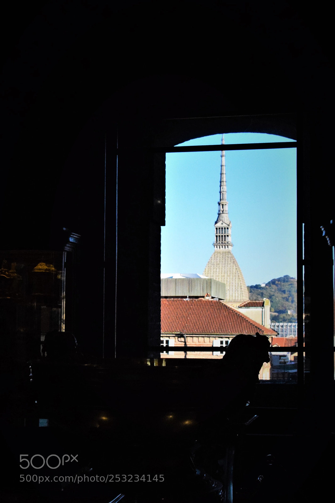 Nikon D3300 sample photo. Mole antonelliana from window photography