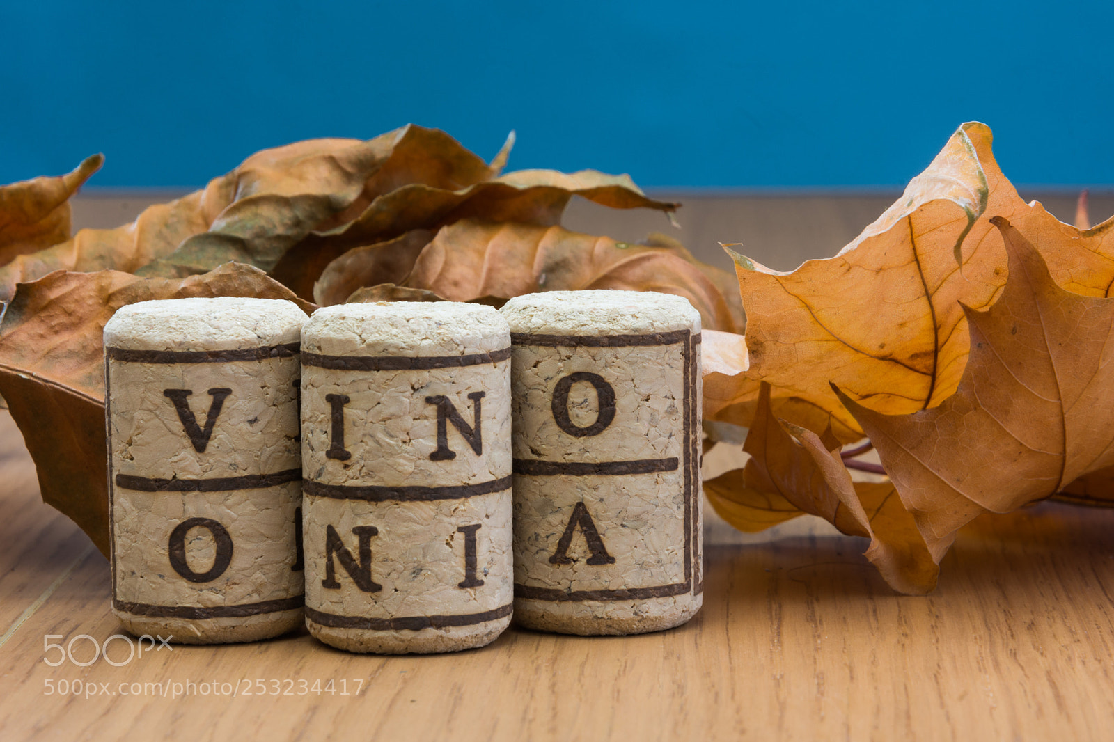 Nikon D7200 sample photo. Vino e foglie photography