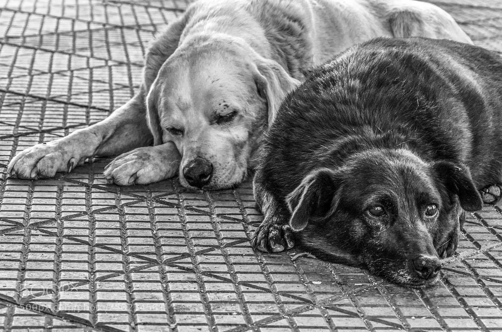 Nikon D7000 sample photo. Untitled photography