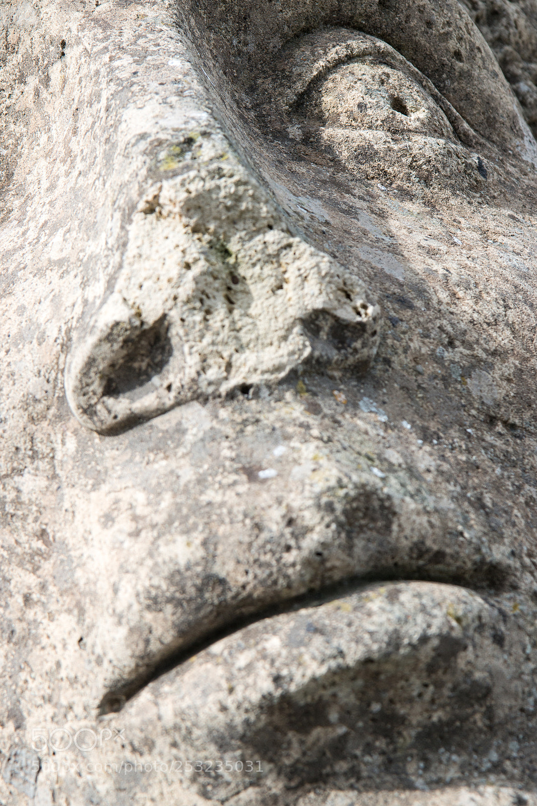 Canon EOS 70D sample photo. Through the ages photography