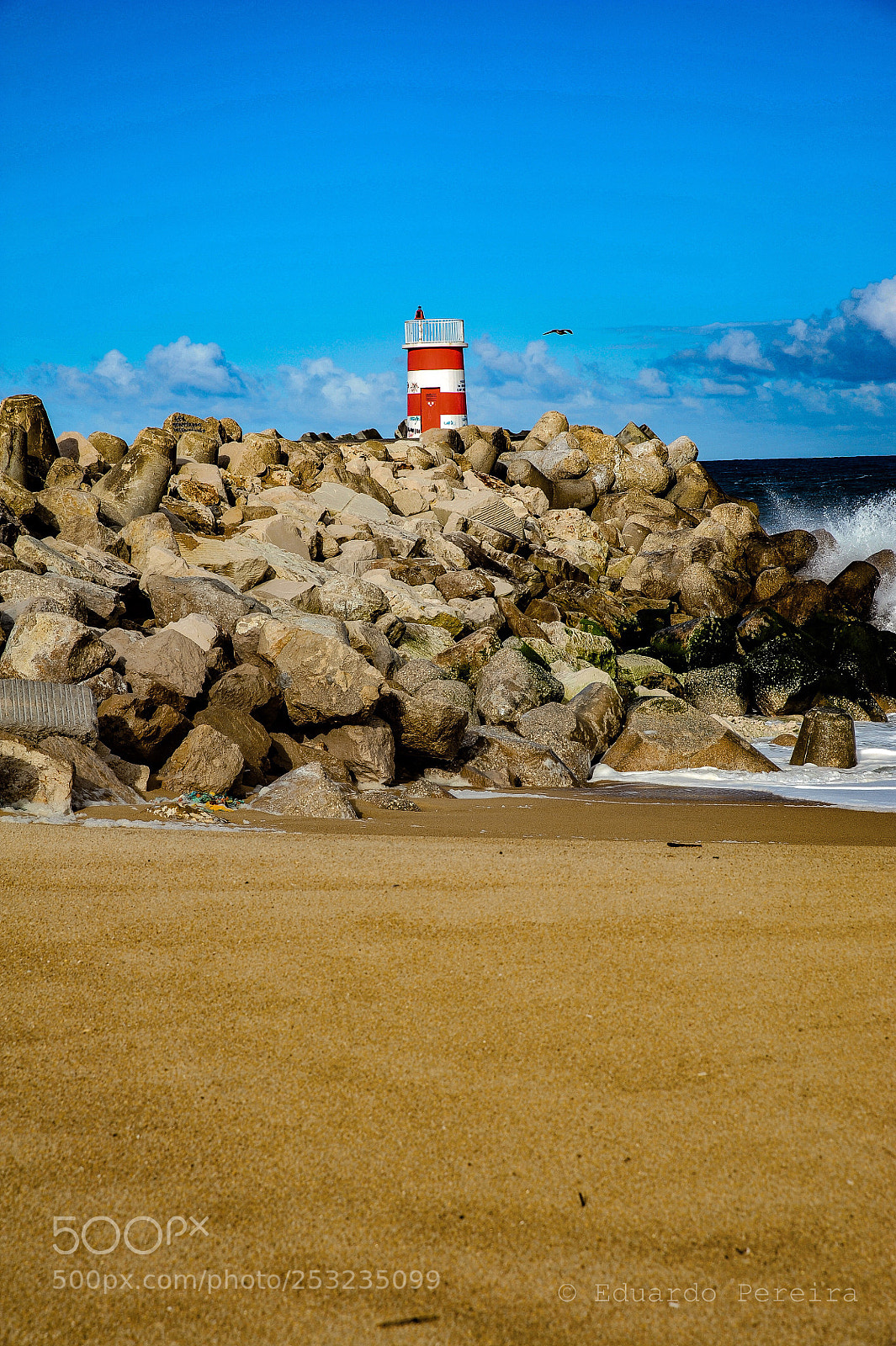 Nikon D700 sample photo. Untitled photography