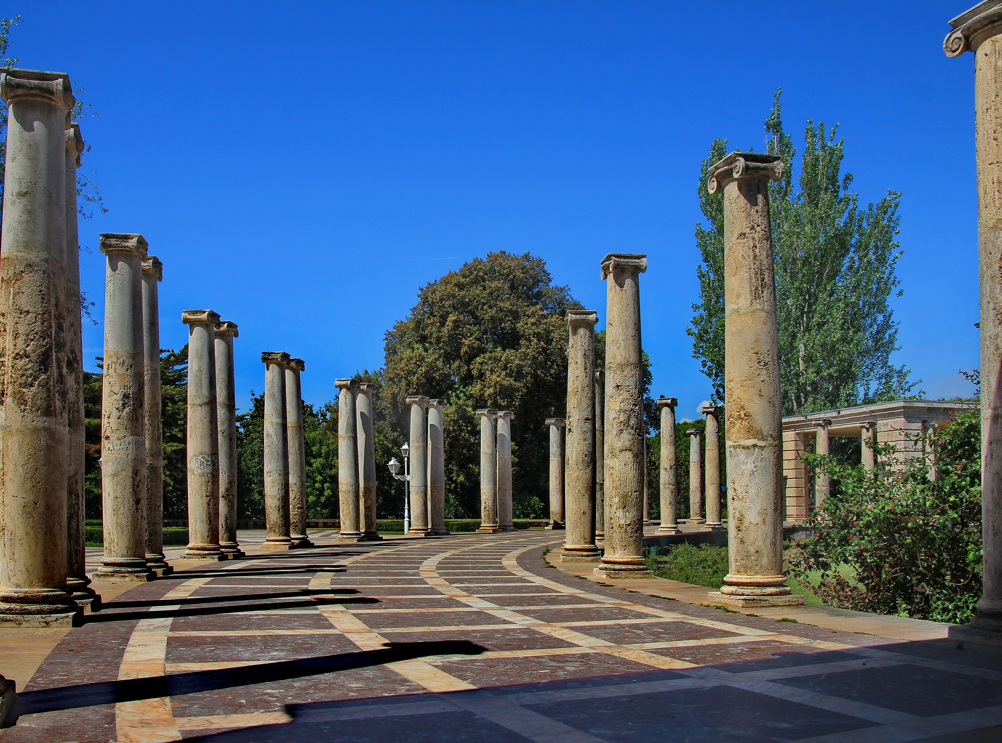 Canon EOS 600D (Rebel EOS T3i / EOS Kiss X5) sample photo. Peristyle photography