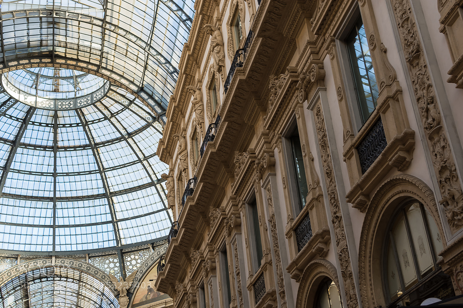 Nikon D7200 sample photo. Milano photography