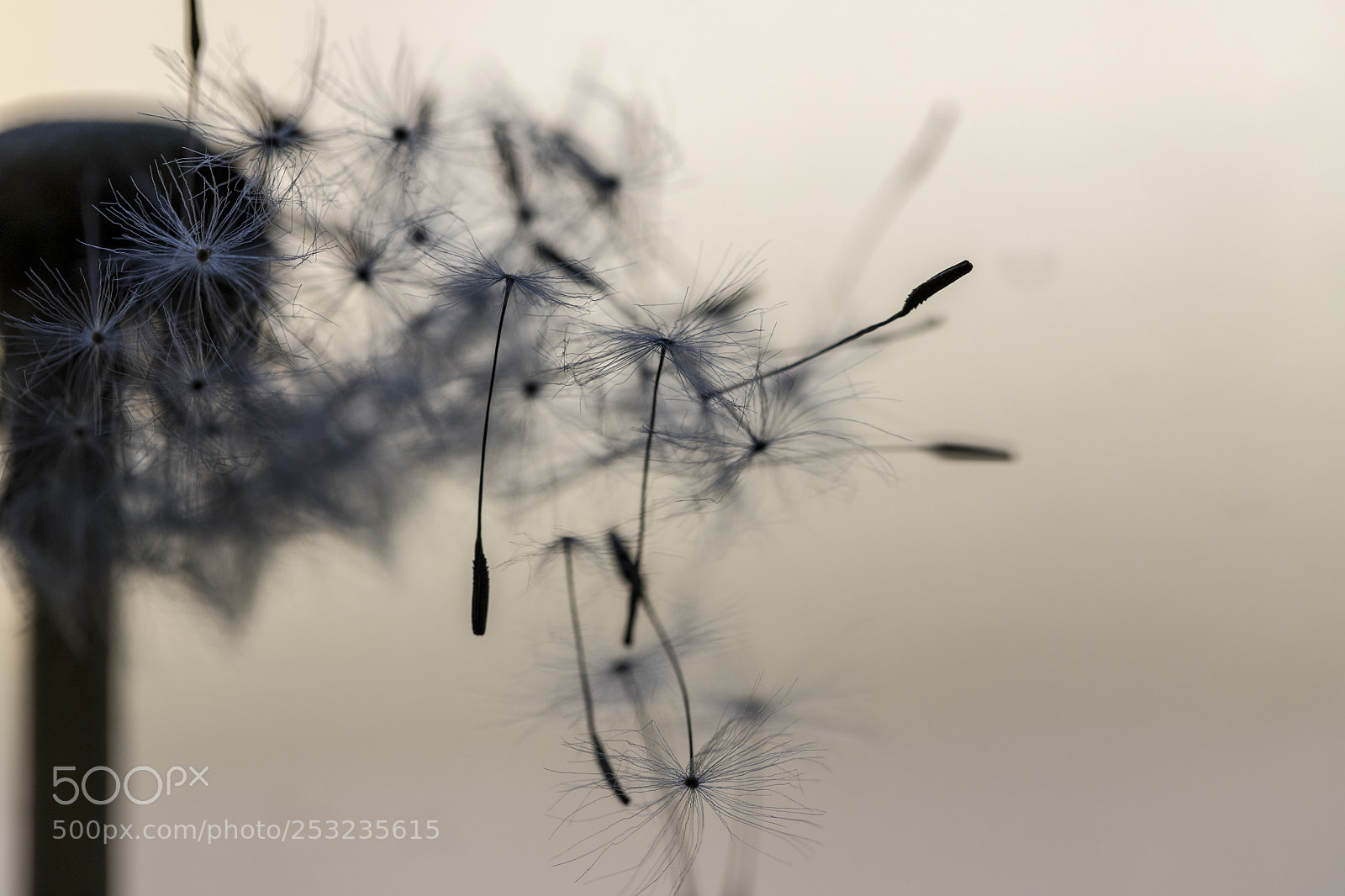 Canon EOS 6D Mark II sample photo. Breeze photography