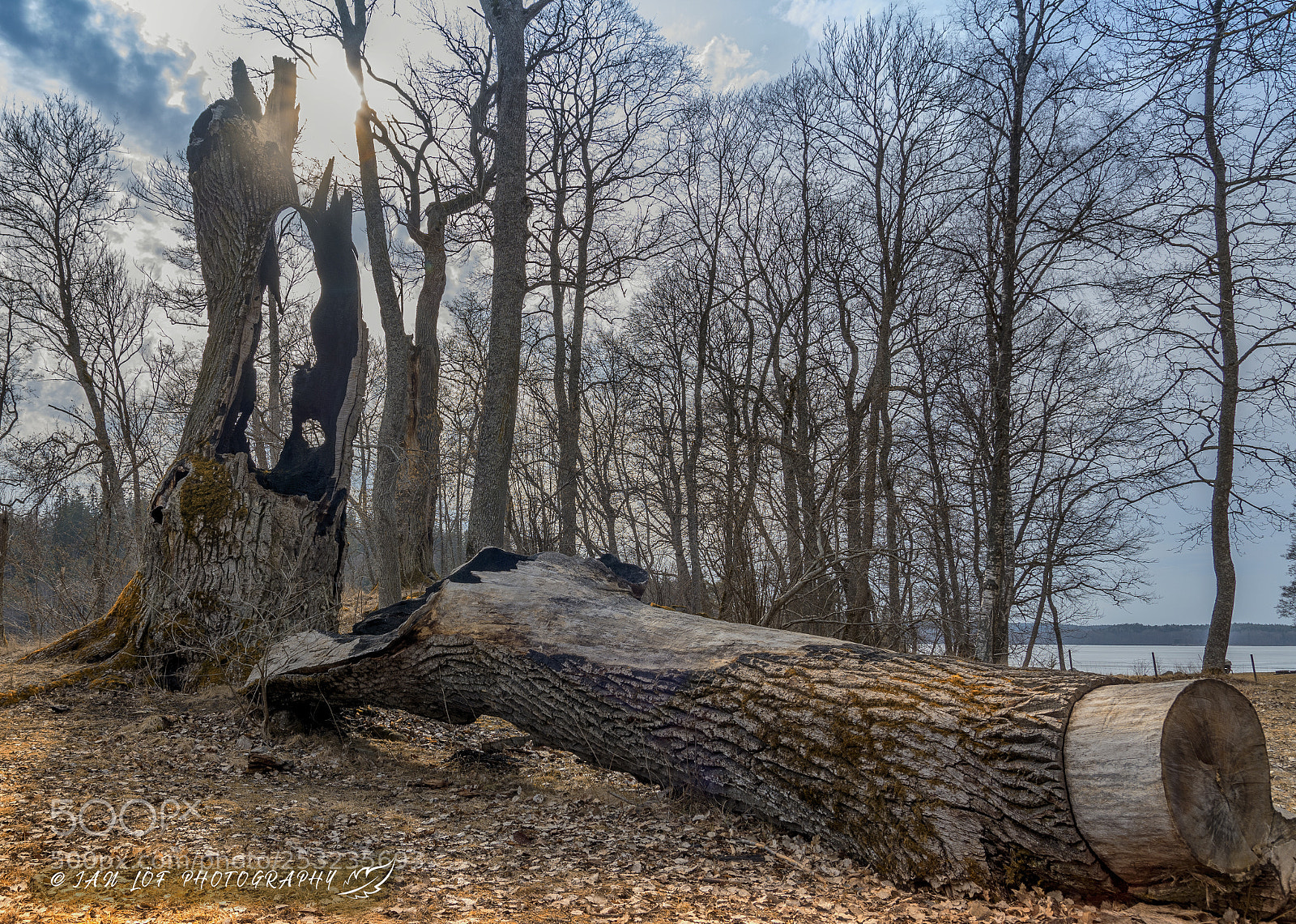 Nikon D7200 sample photo. Age has finally ruled photography
