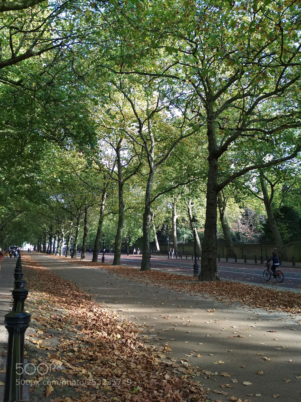 Xiaomi Redmi 4X sample photo. St james's park photography