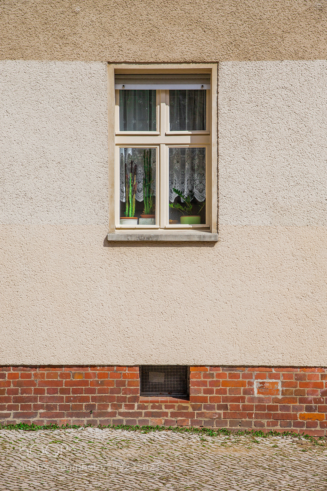 Canon EOS 6D Mark II sample photo. Wall palette photography