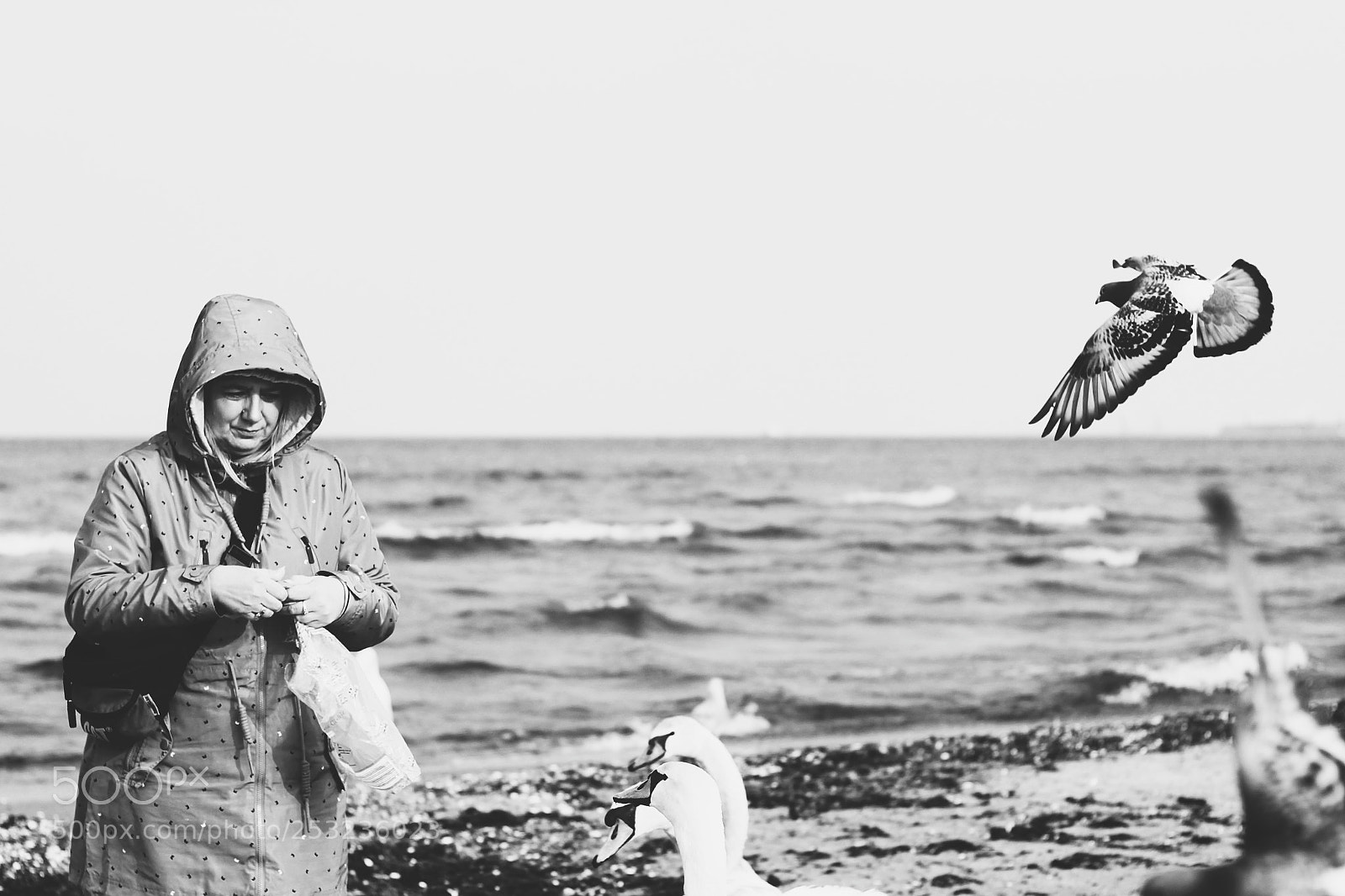 Canon EOS 1300D (EOS Rebel T6 / EOS Kiss X80) sample photo. Woman and the bird photography
