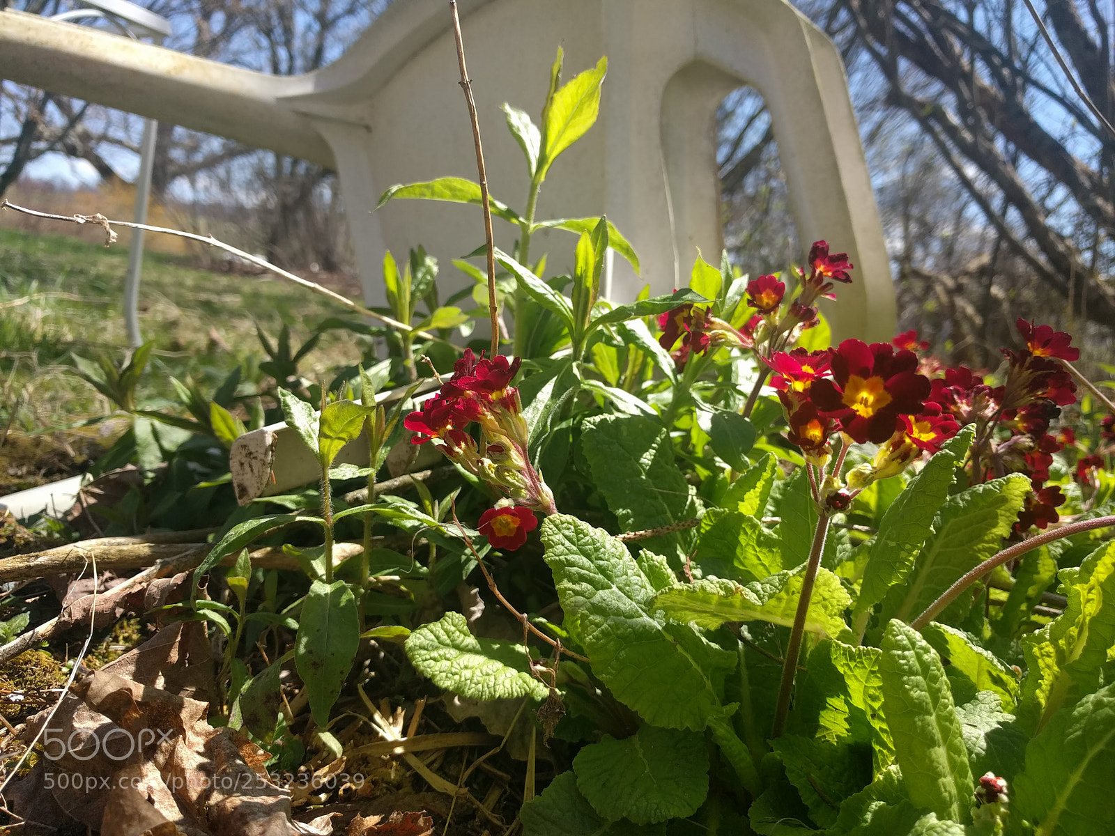 LG Nexus 5X sample photo. Untitled photography