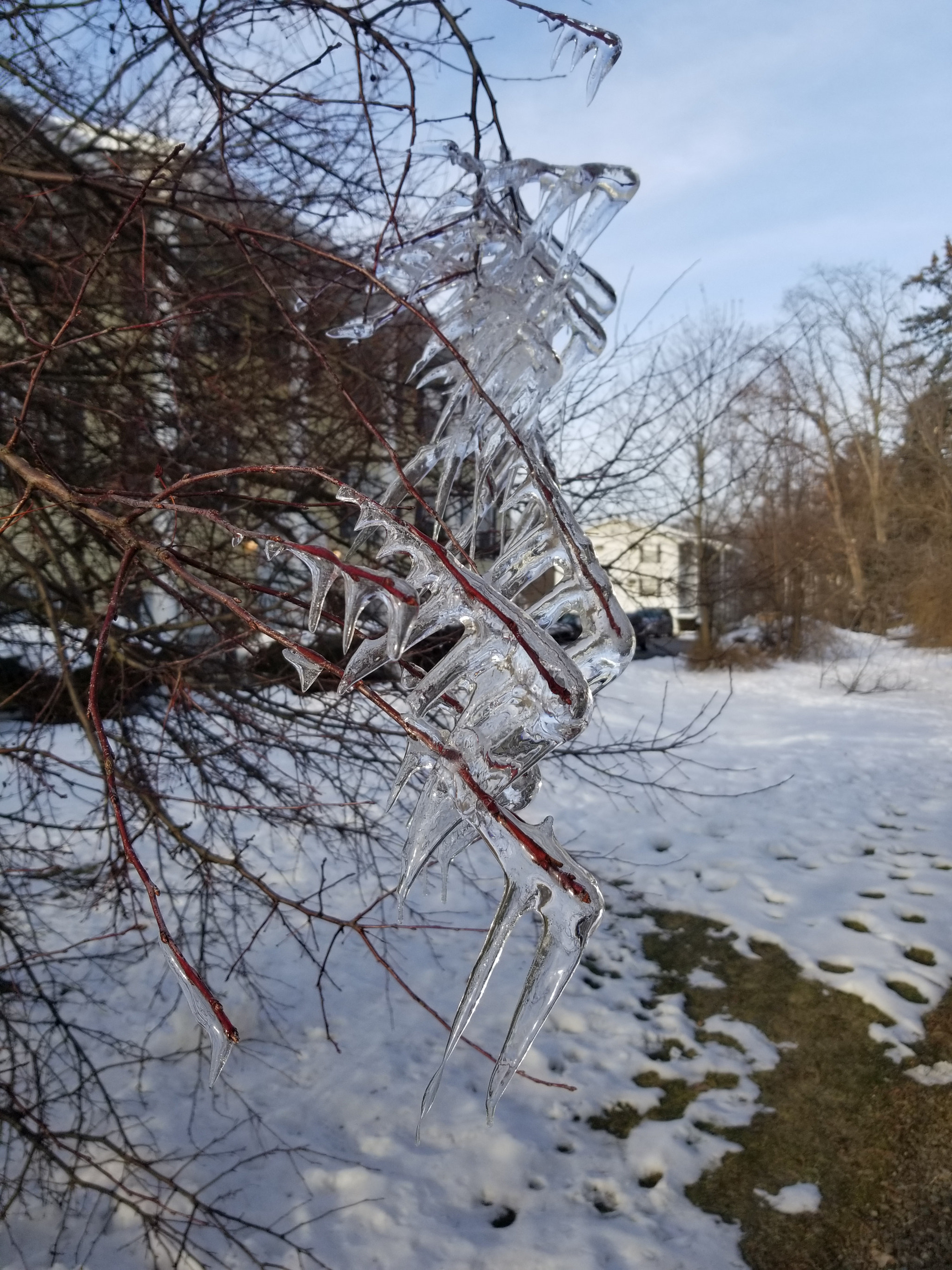 Samsung Galaxy S8 Active sample photo. 20180312_084352.jpg photography