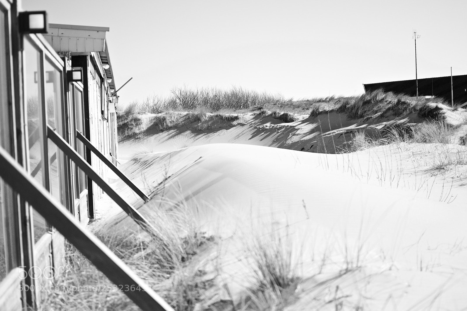 Nikon D7100 sample photo. Untitled photography