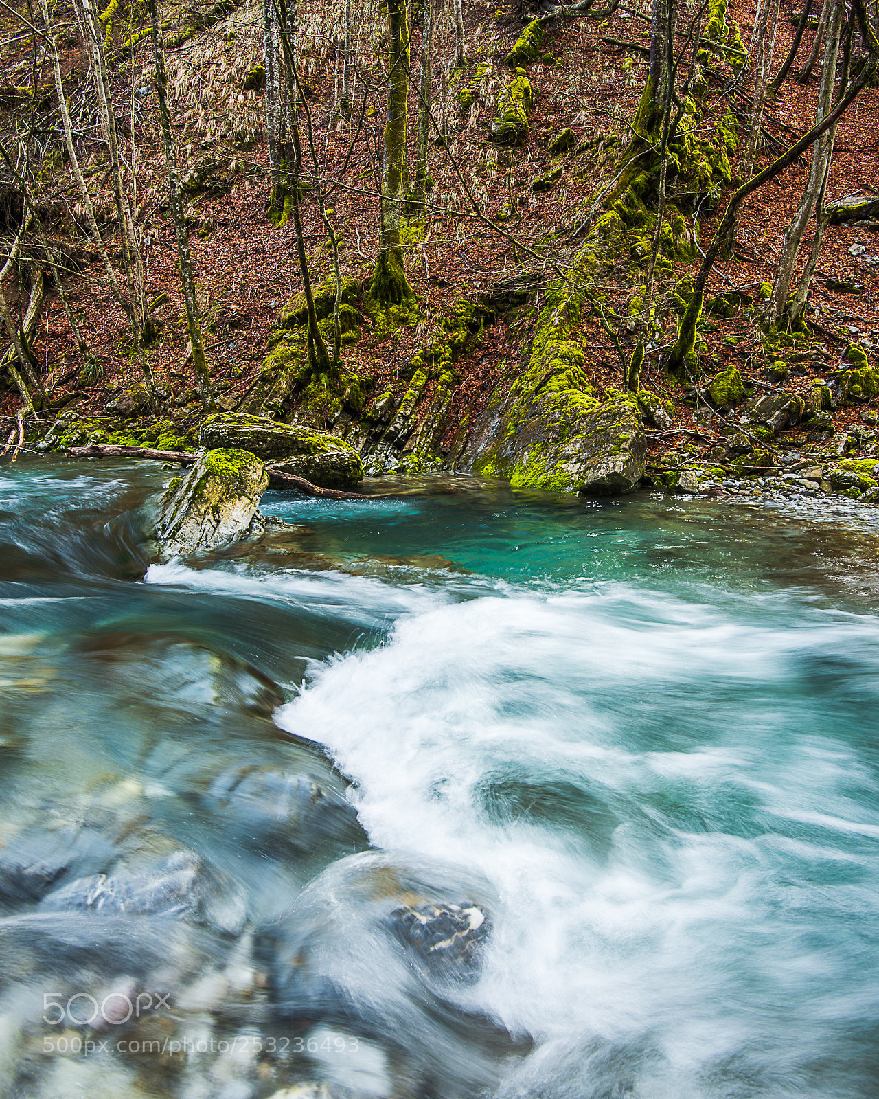 Nikon D800 sample photo. Fluid movement photography