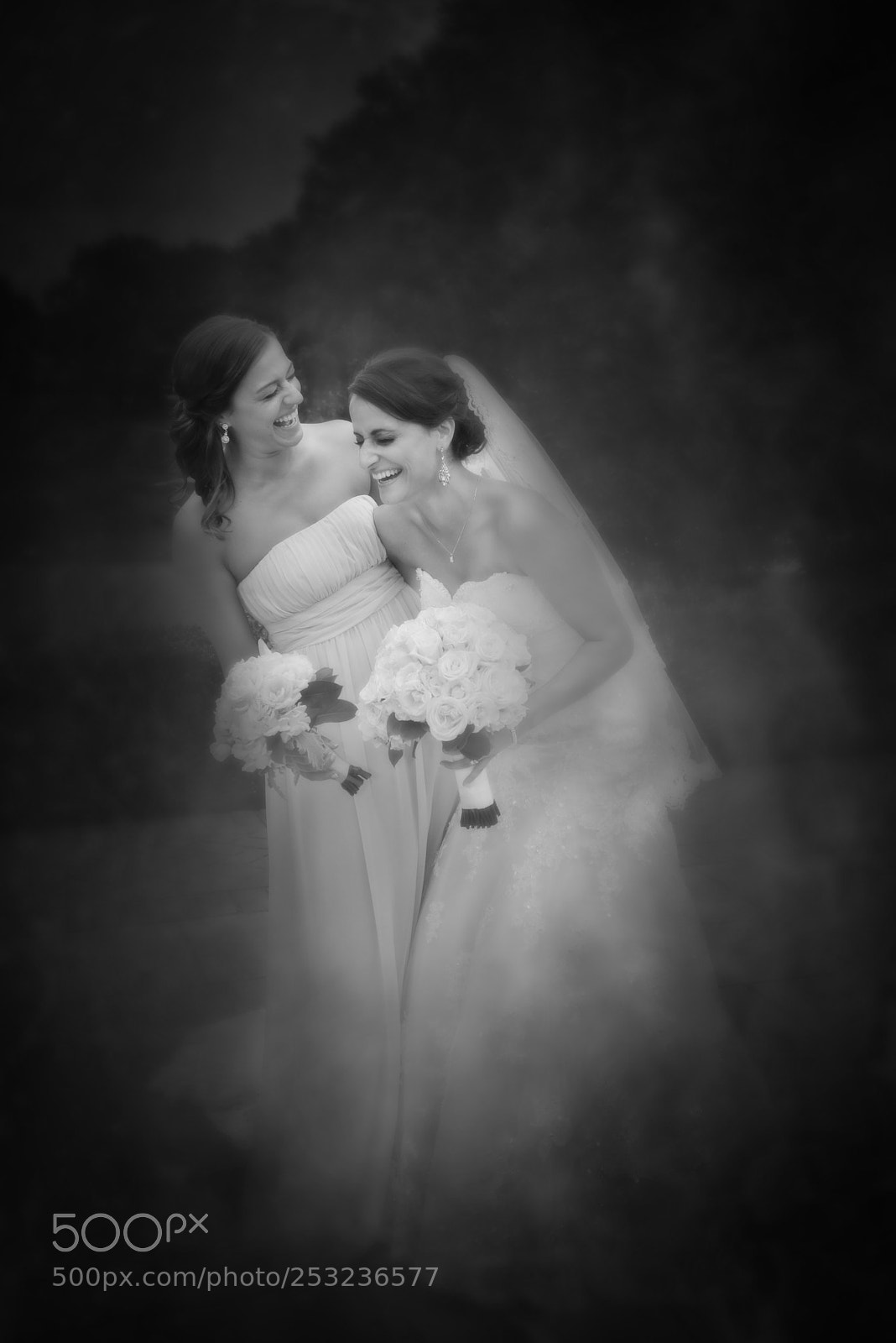 Nikon D600 sample photo. Friends photography