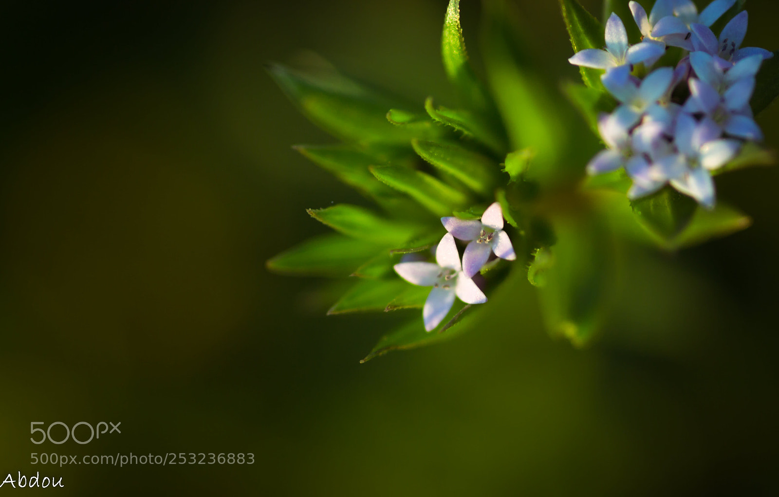 Canon EOS 70D sample photo. Untitled photography