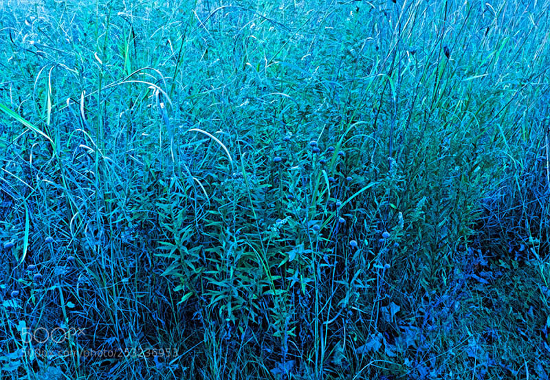 Olympus OM-D E-M1 sample photo. Blue hour - in photography