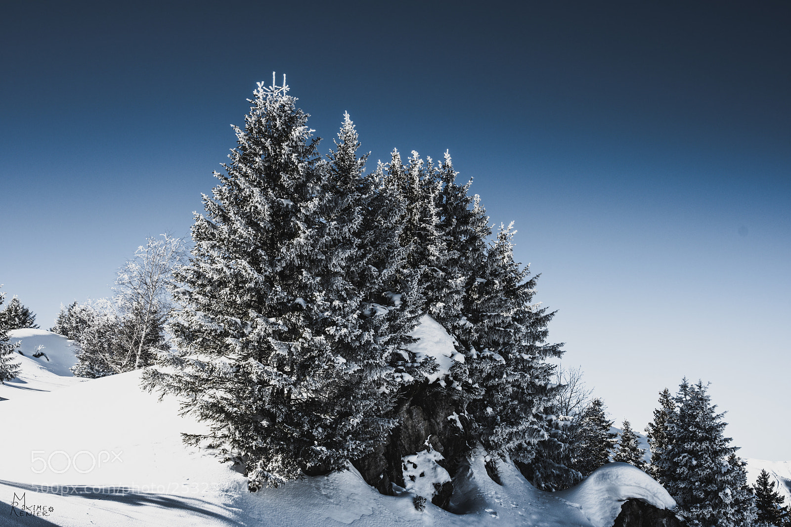 Nikon D500 sample photo. Avoriaz photography