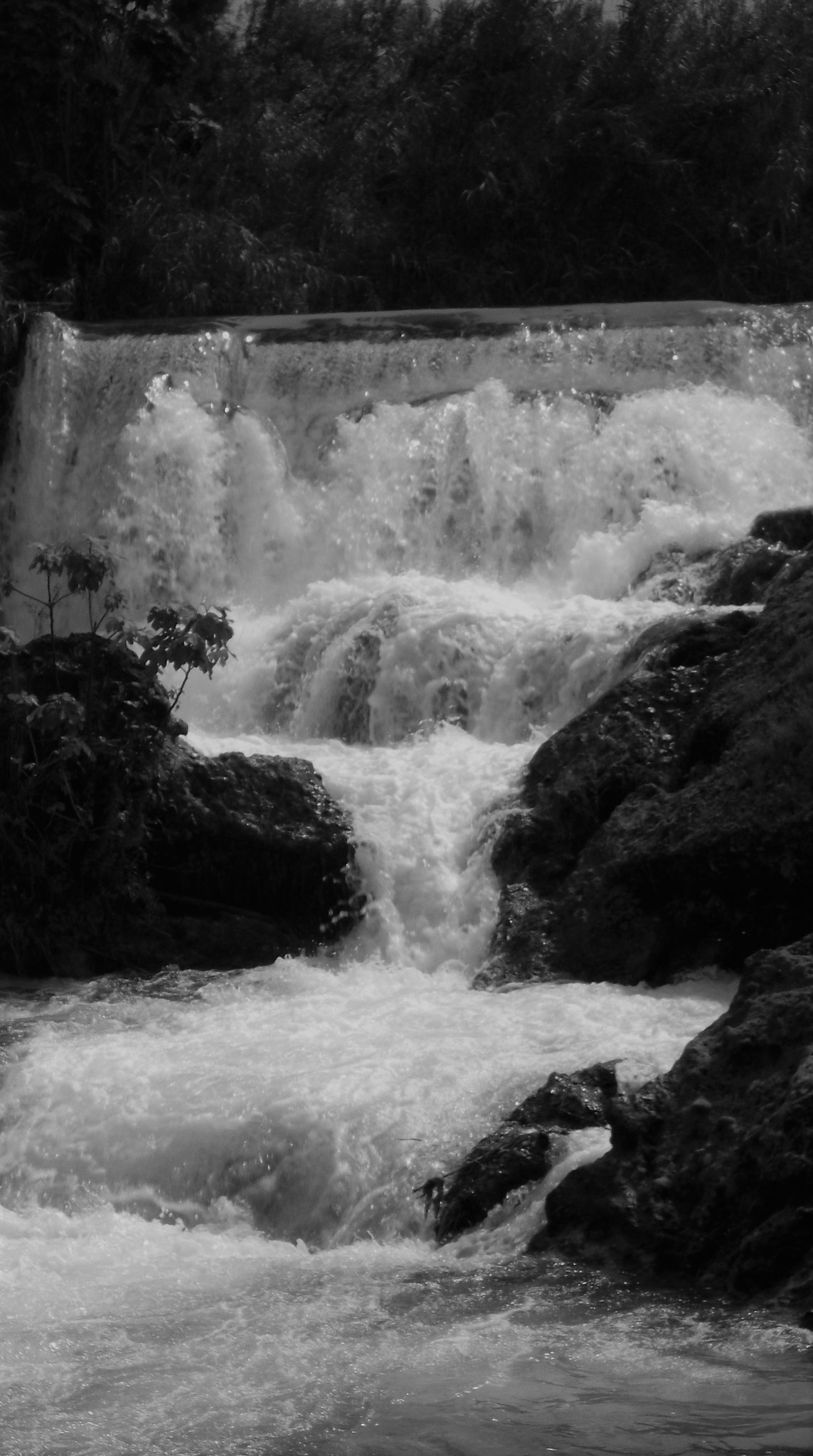 Fujifilm A220 A230 sample photo. Tarsus photography