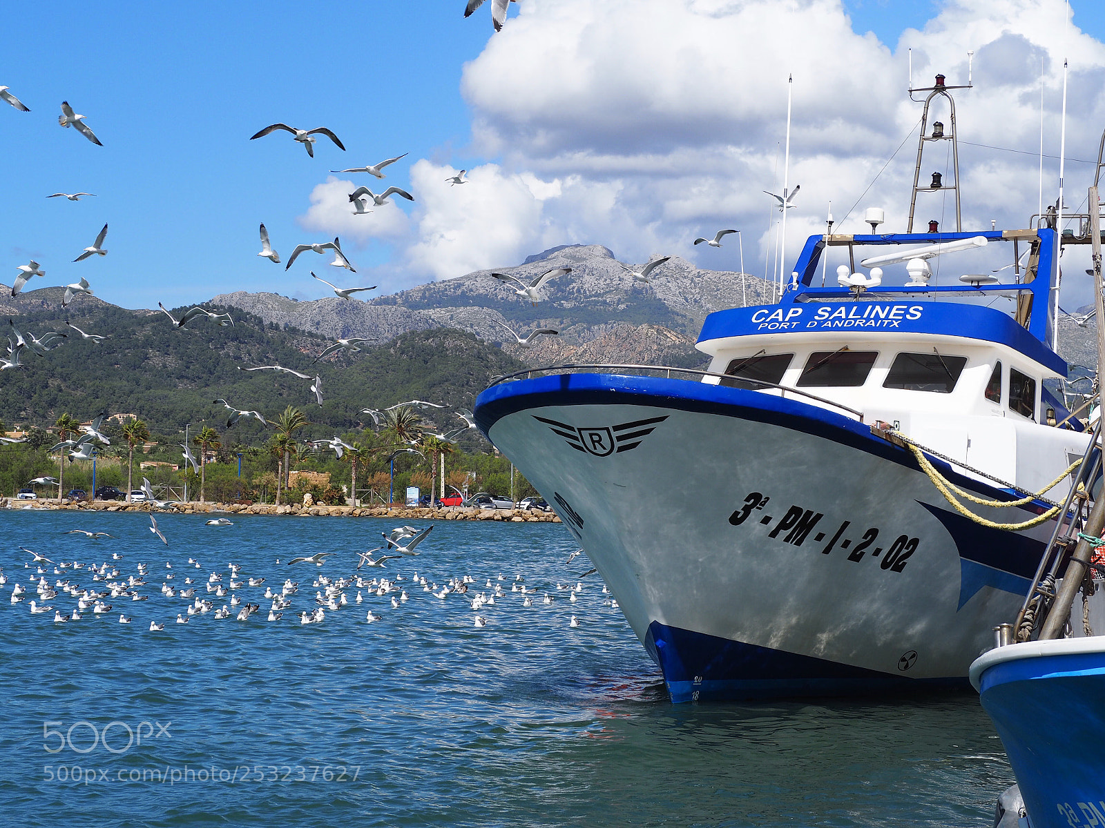 Olympus OM-D E-M10 II sample photo. When the boats come photography