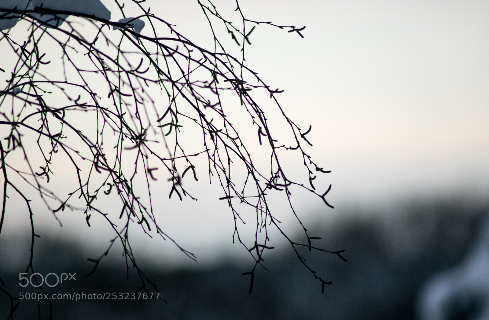 Nikon D3300 sample photo. Untitled photography