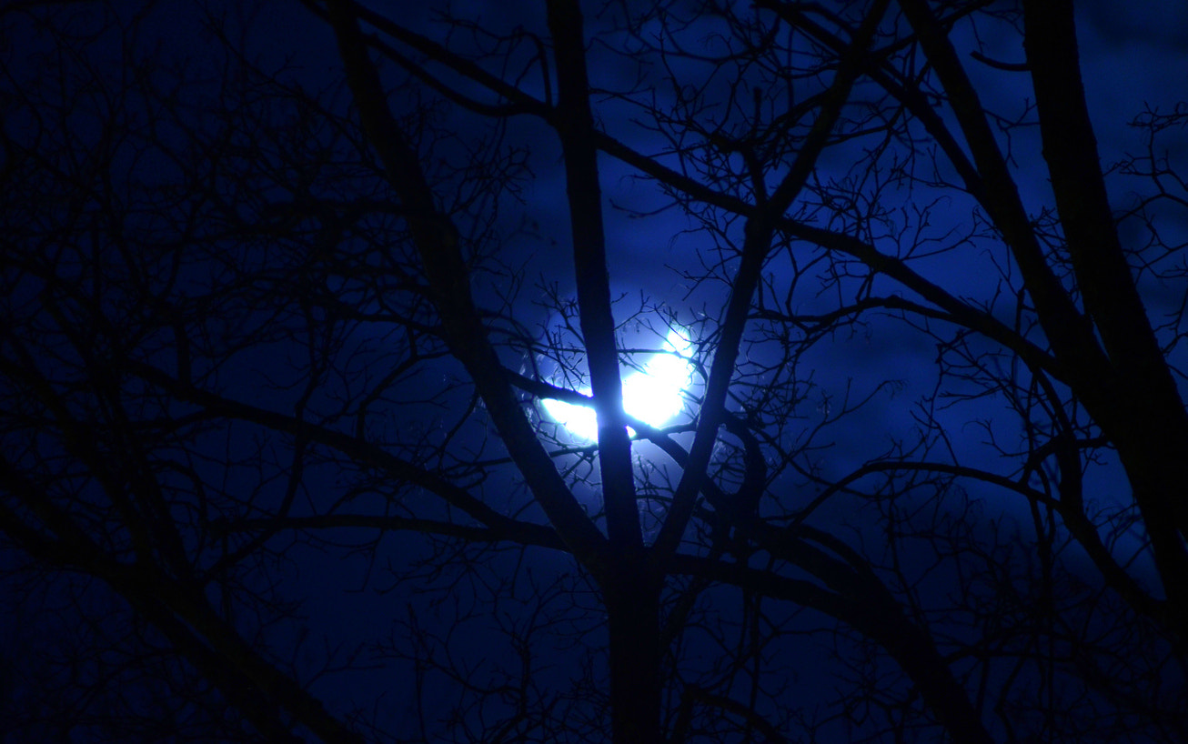 Nikon D7000 sample photo. Moon photography