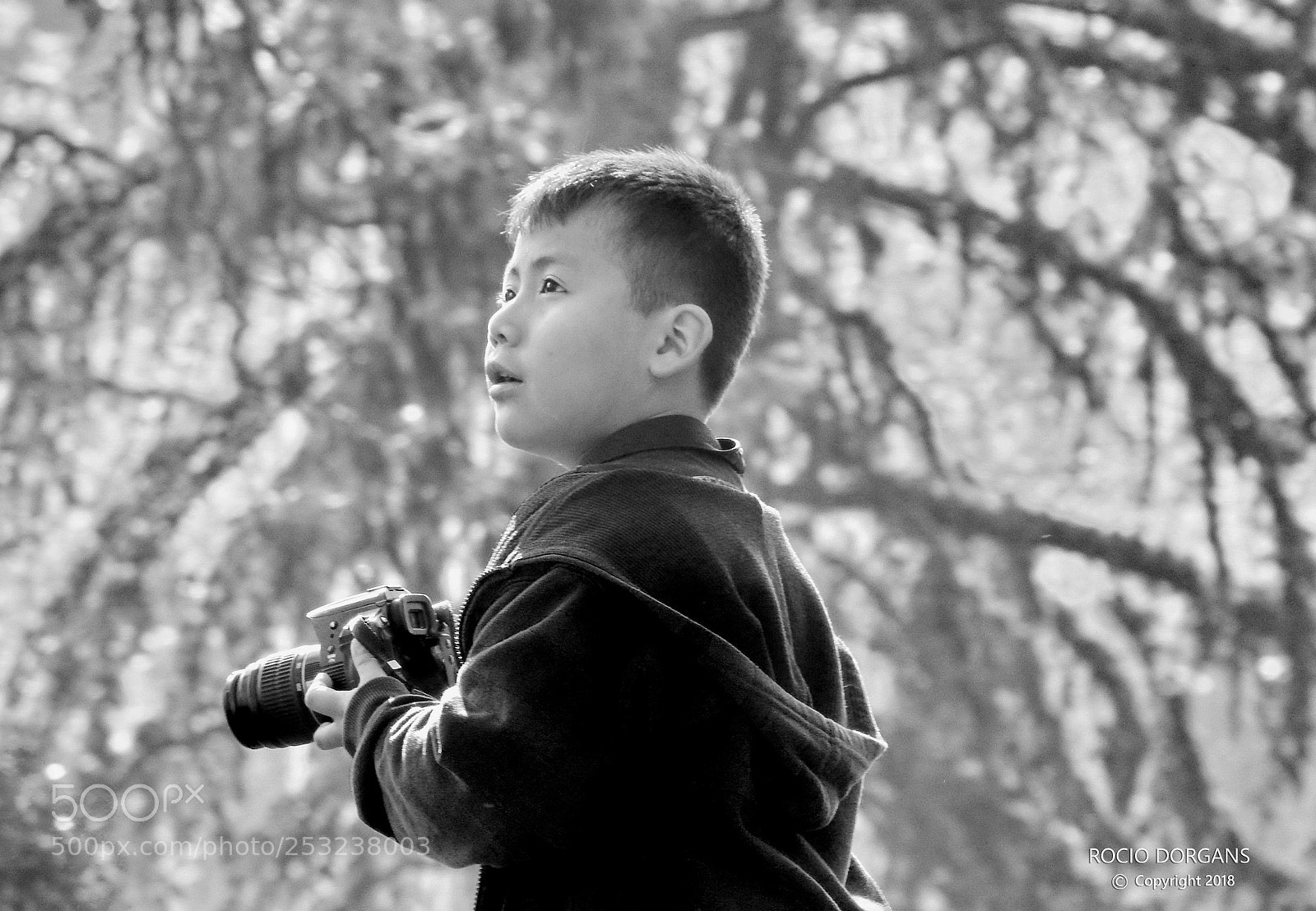 Nikon Coolpix P900 sample photo. Maxime photography