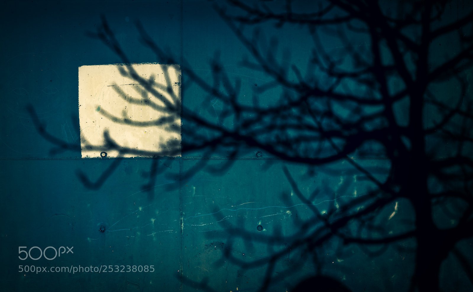 Pentax K-50 sample photo. _ photography