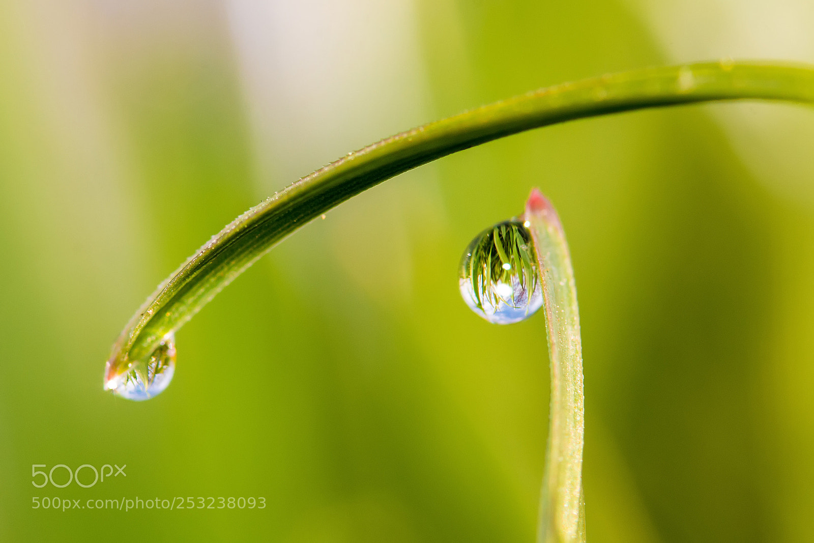 Canon EOS 70D sample photo. Water drop 8 photography