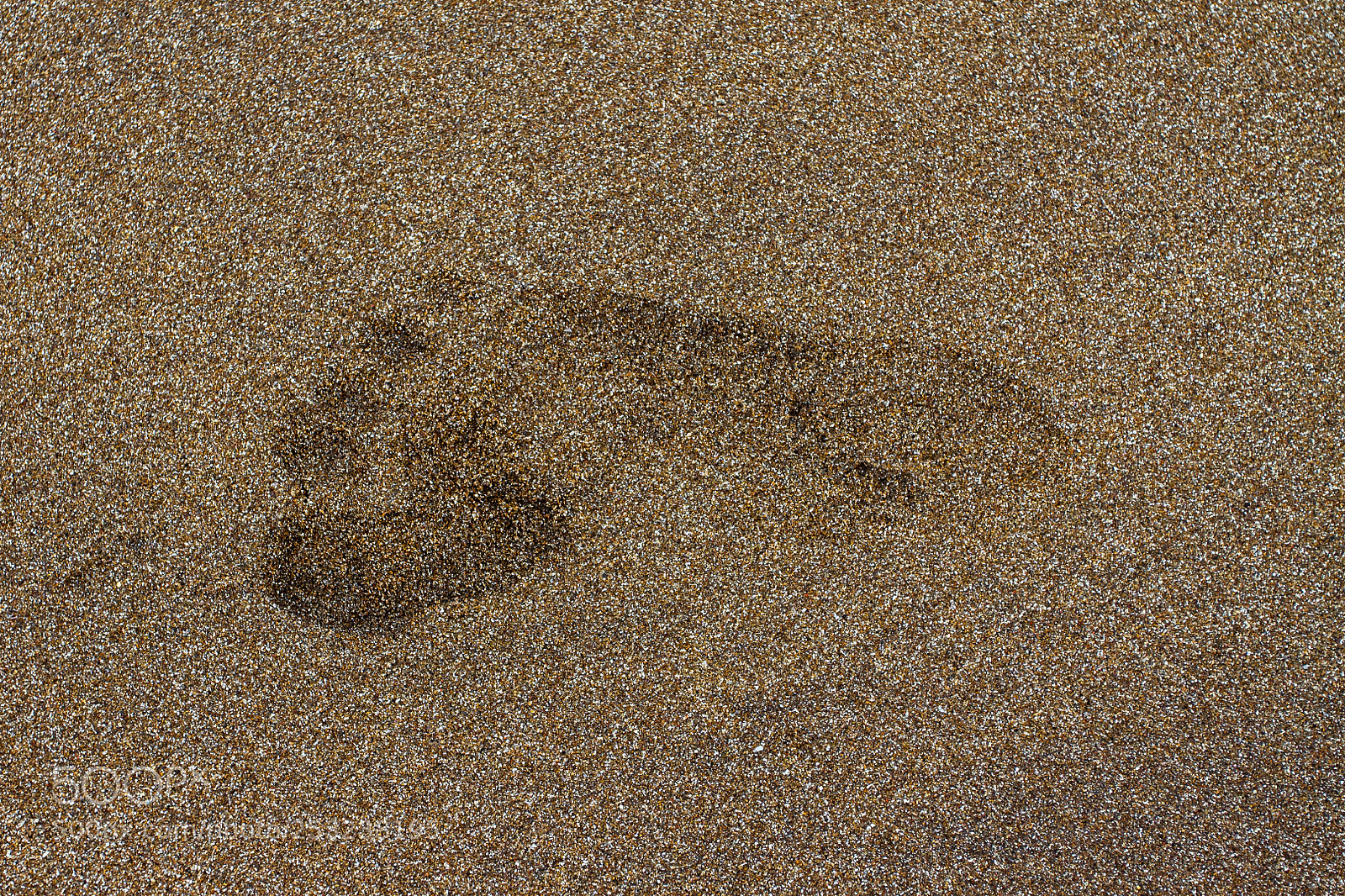 Canon EOS 7D sample photo. Footprint in the sand photography