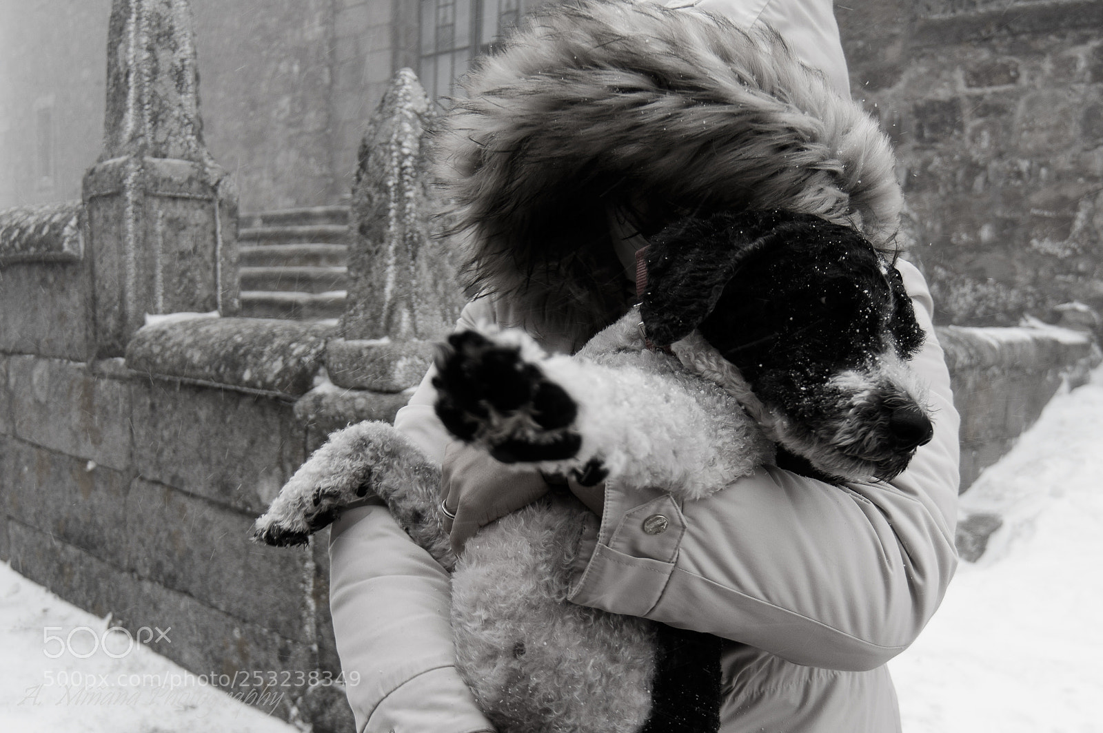 Nikon D7100 sample photo. Blizzard photography