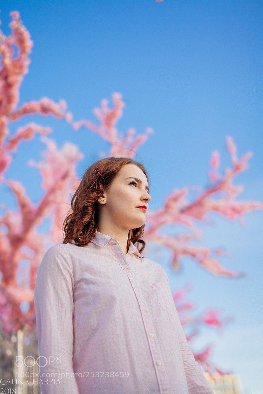 Canon EOS 5D Mark II sample photo. Sakura photography
