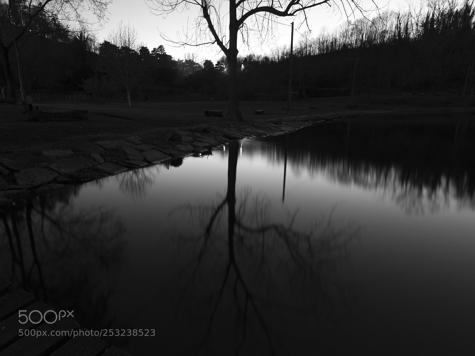 Nikon D7200 sample photo. Silhouette photography