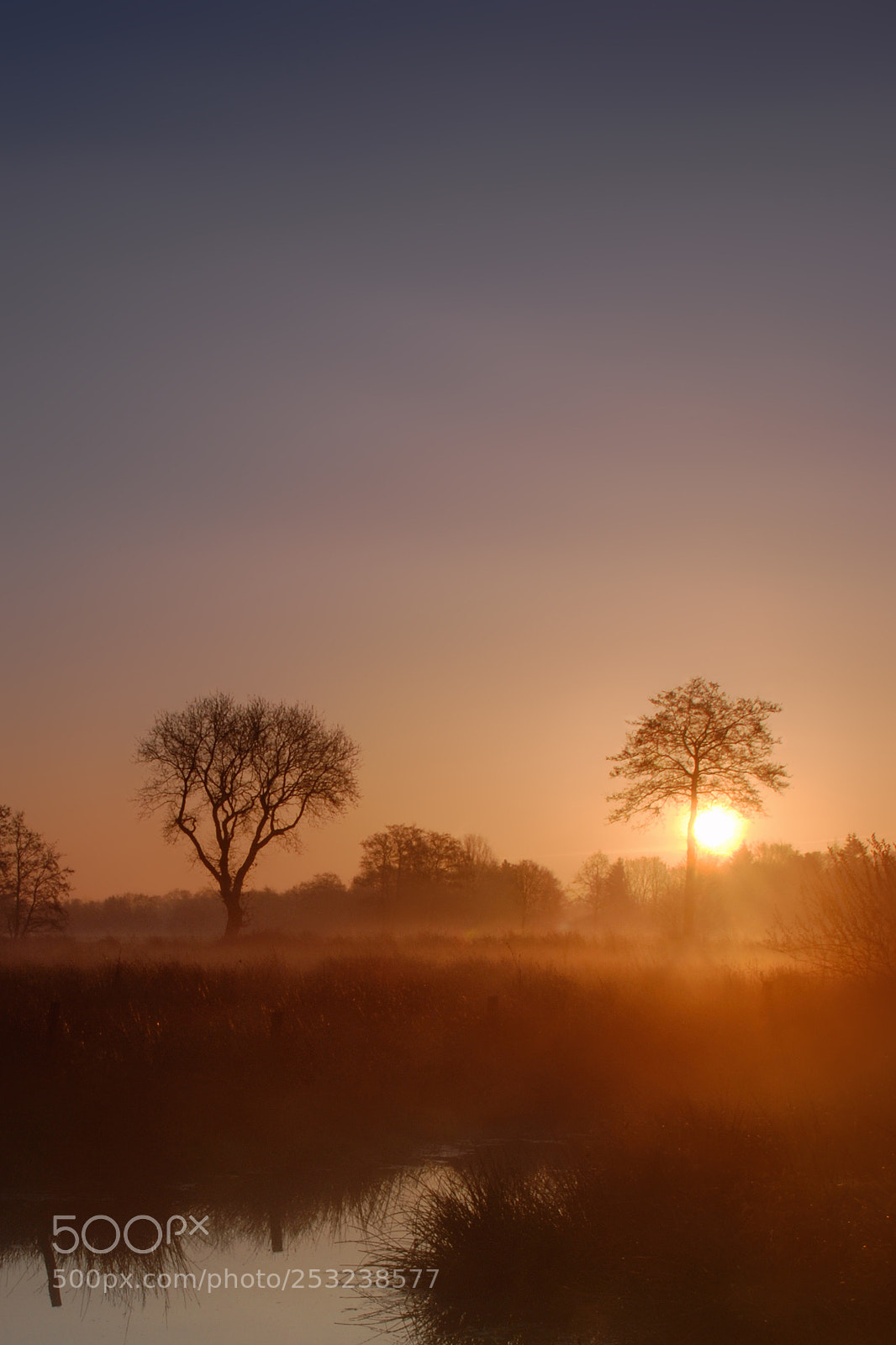 Nikon D80 sample photo. Cold foggy morning v photography